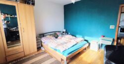 3 izb. na začiatku Petržalky Hálová s nepriechodnými izbami